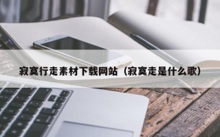 项城寂寞行走素材下载网站（寂寞走是什么歌）